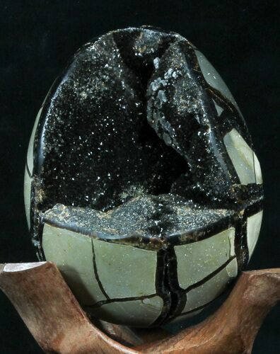 Septarian Dragon Egg Geode - Black Calcite Crystals #33980